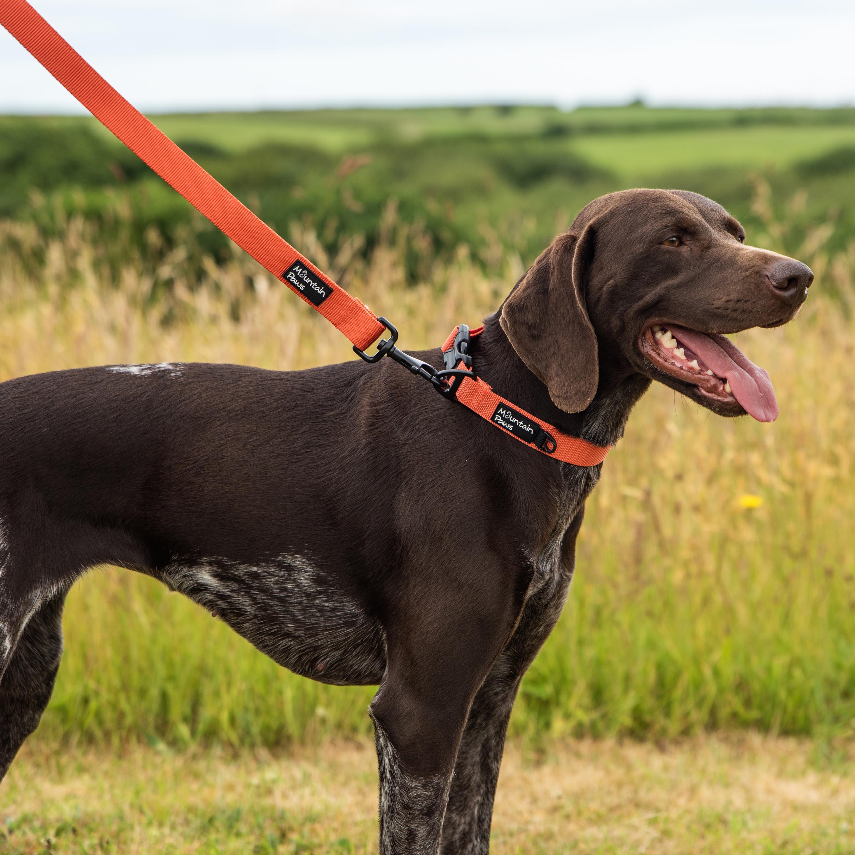 Extra Tough Dog Lead