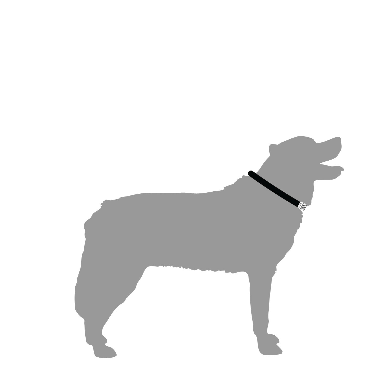 Extra Tough Dog Collar