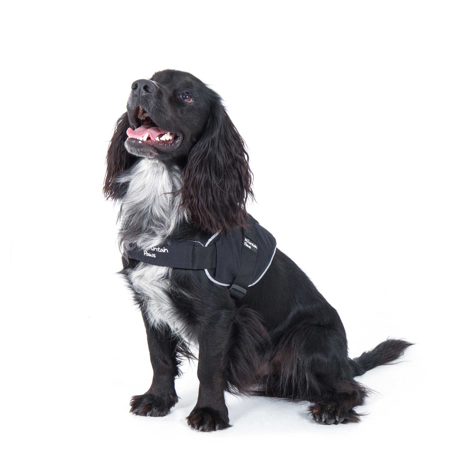 Extra Tough Dog Harness