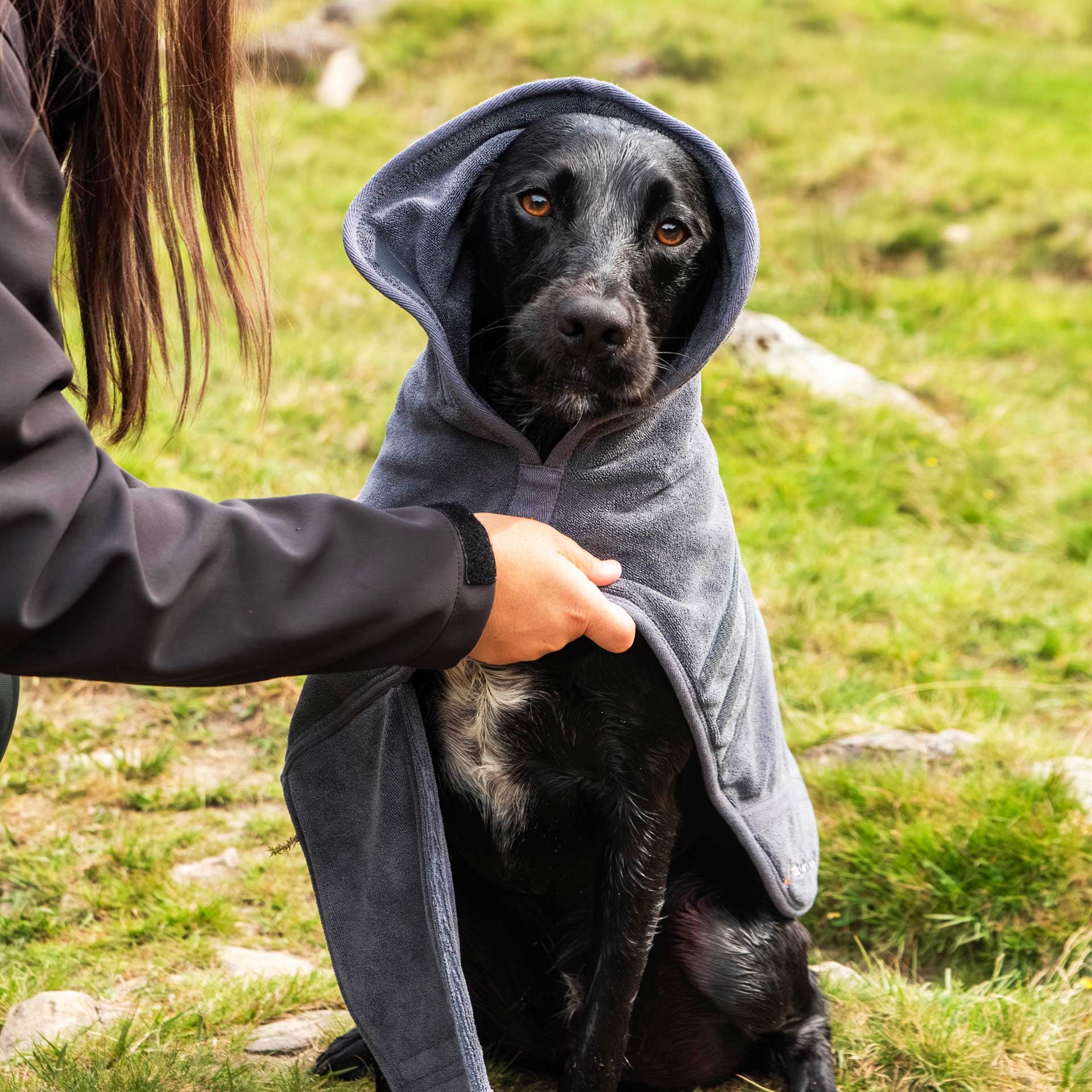 Dog Robe