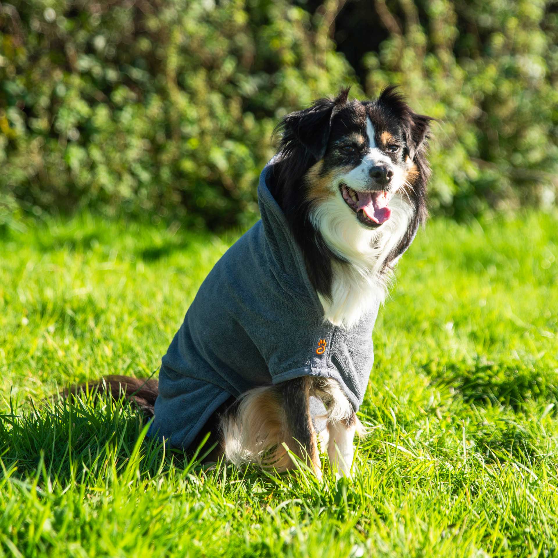 Dog Robe