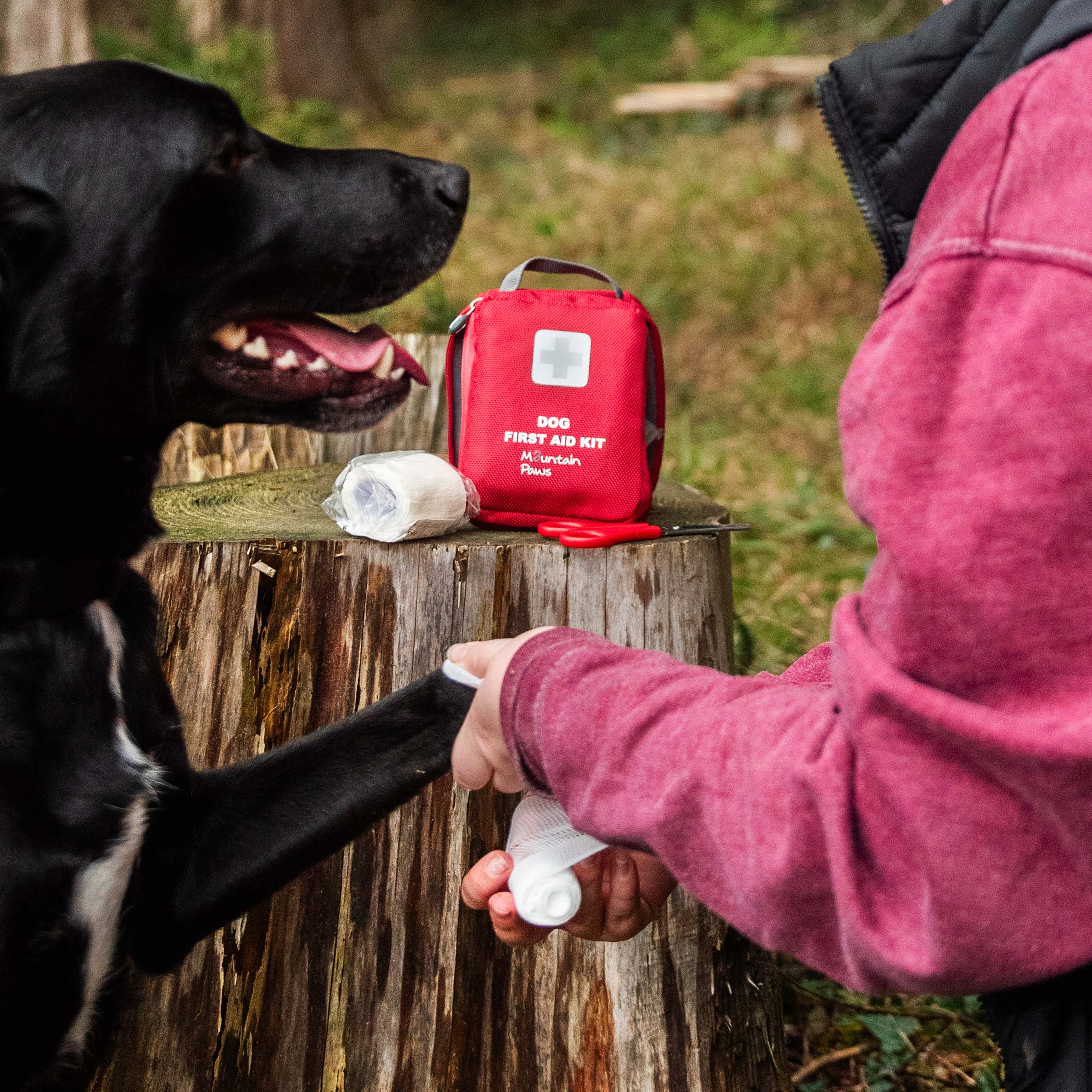Dog First Aid Kit