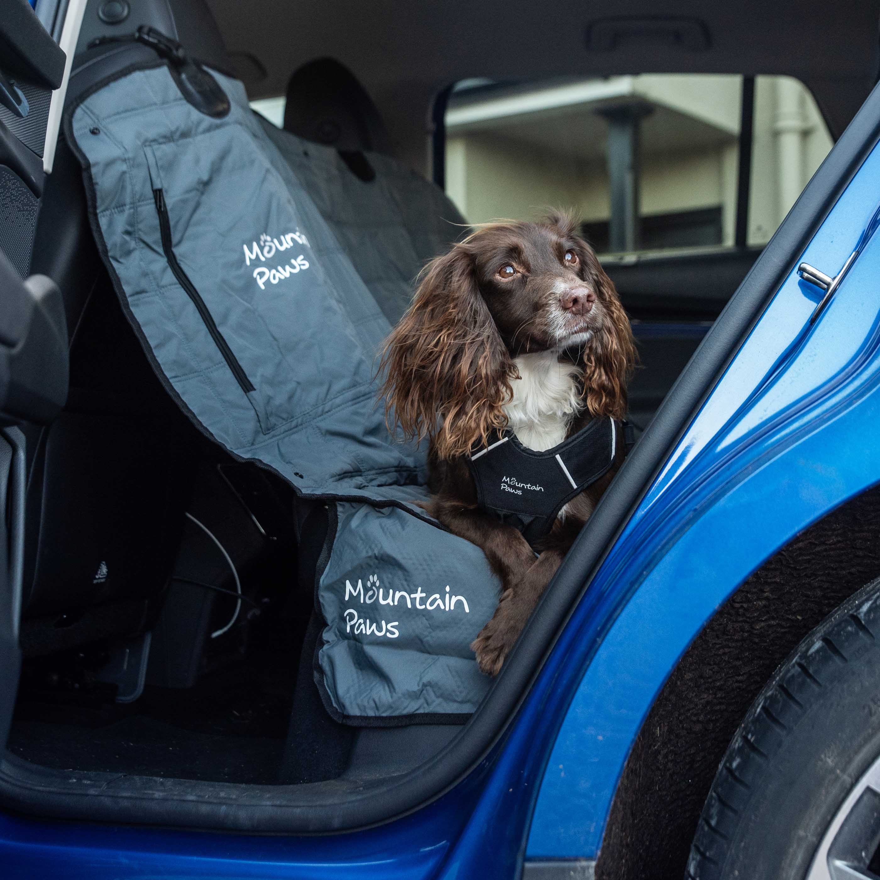 Dog Car Back Seat Cover