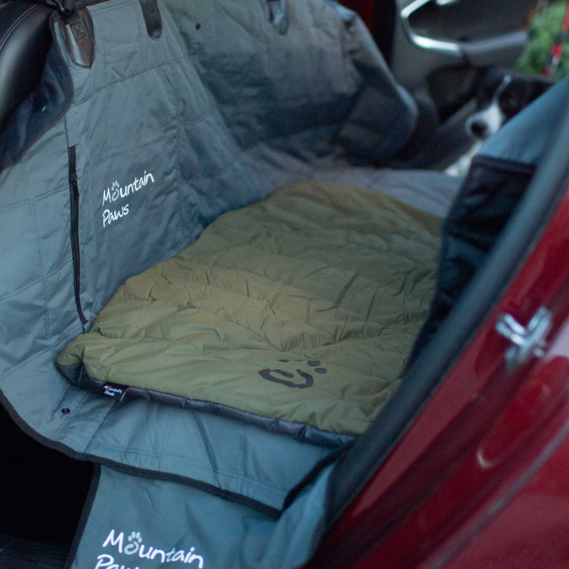 Travel Dog Bed