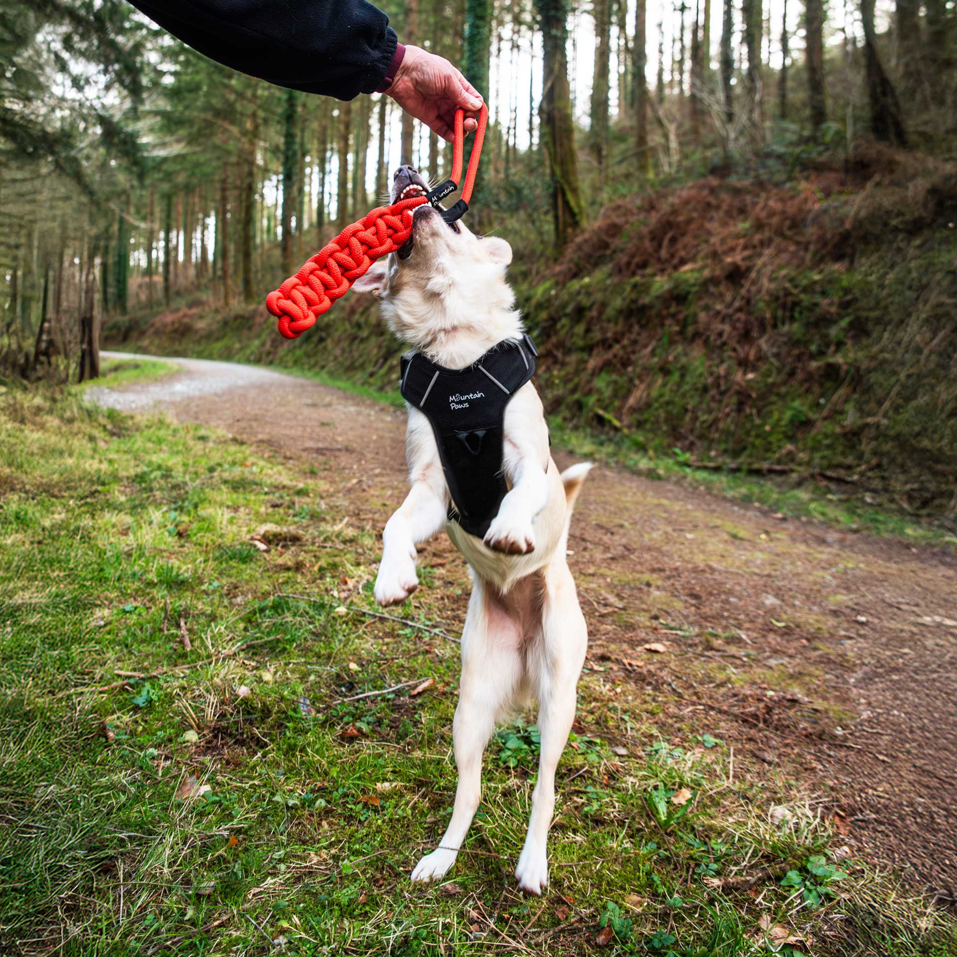 Flat Rope Dog Toy