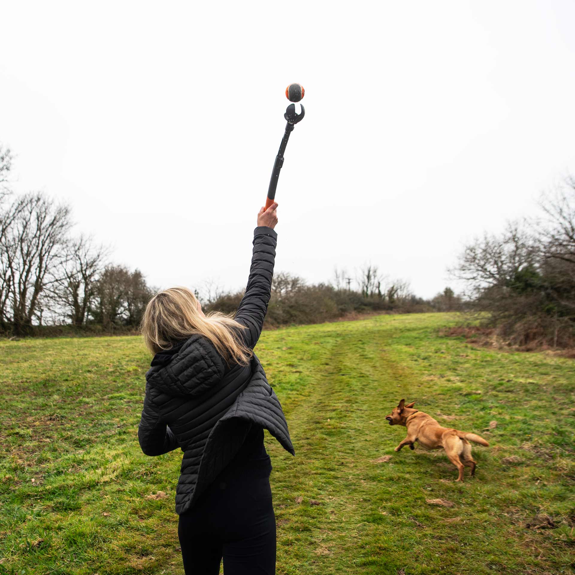 Dog Ball Thrower