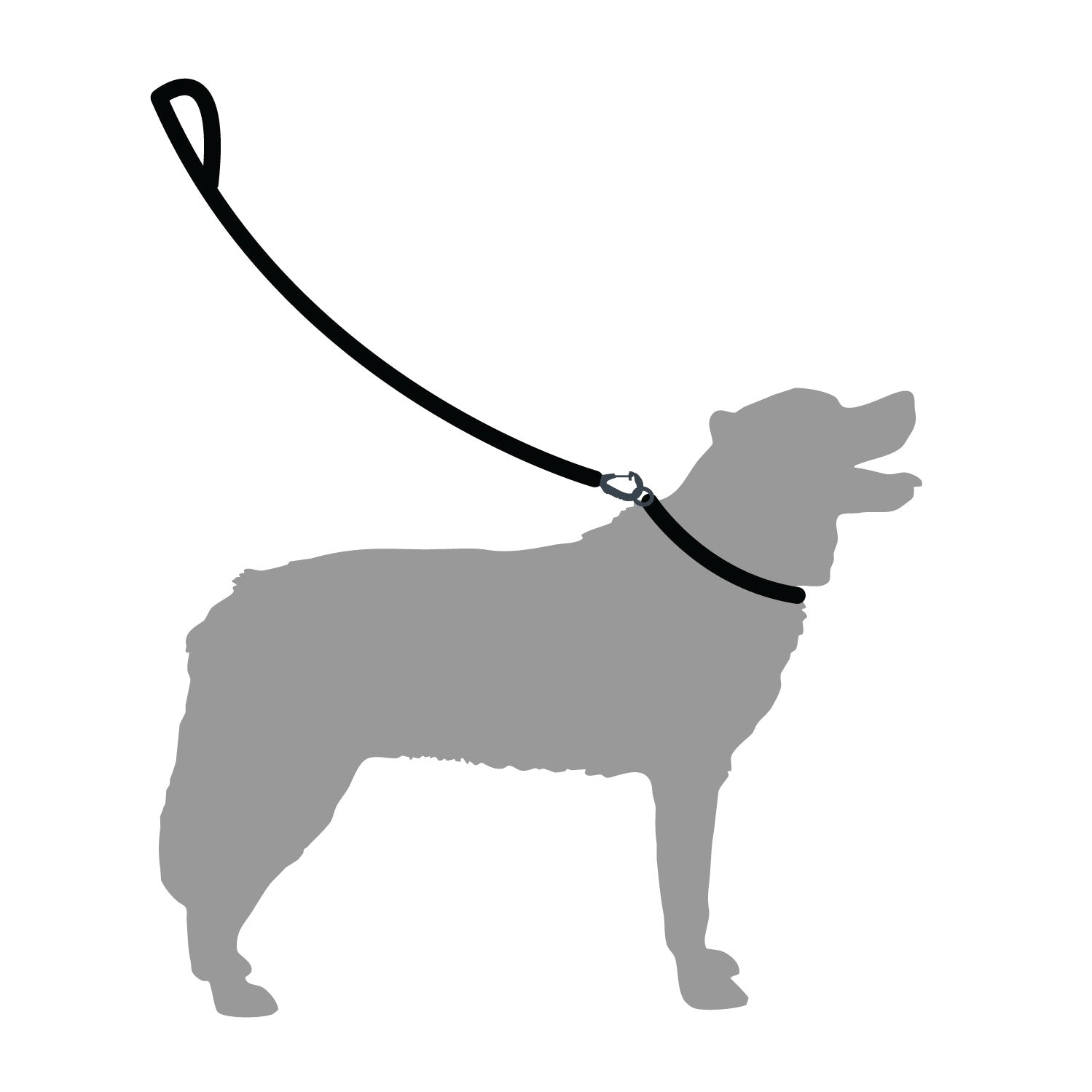 Rope Dog Lead