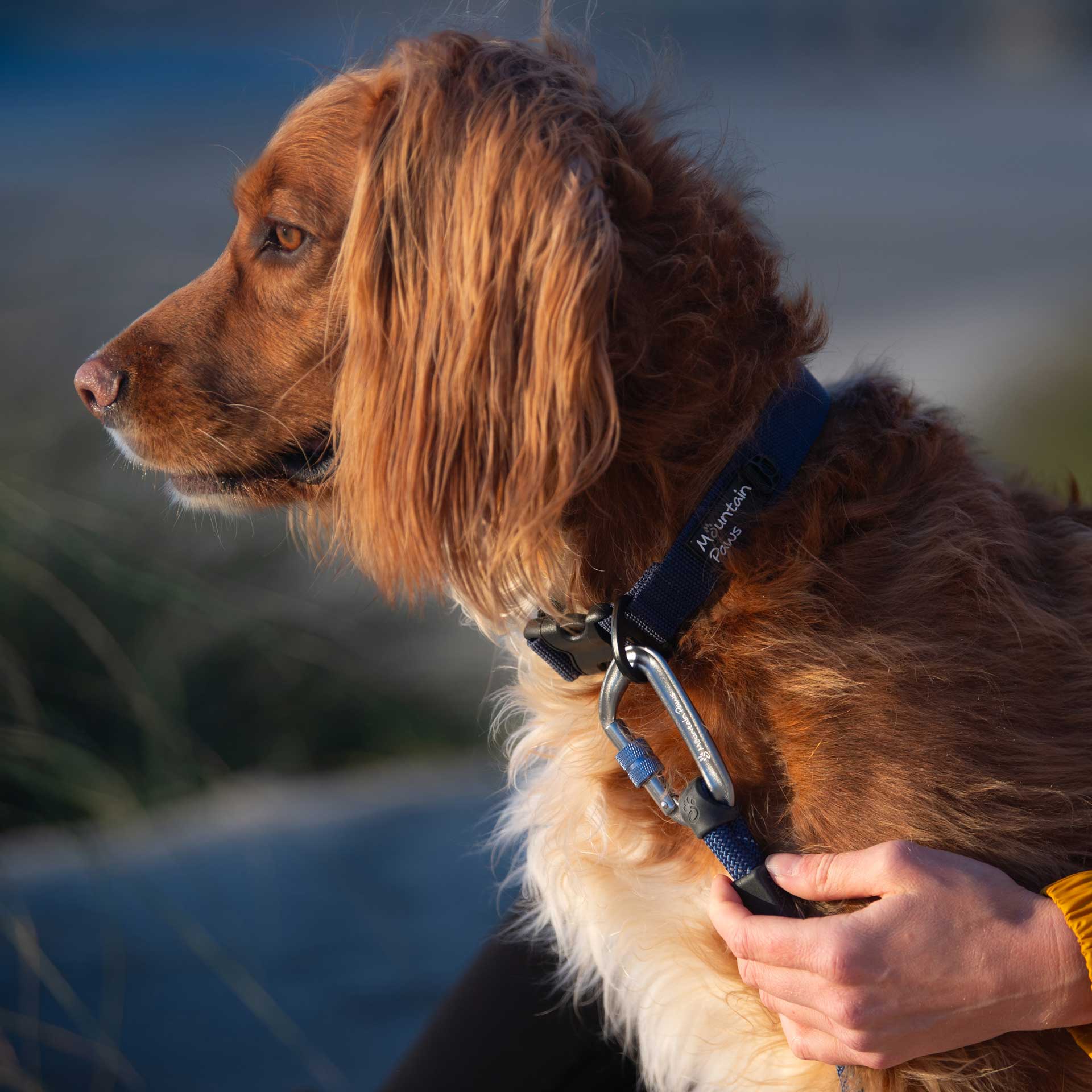 Rope Dog Lead - variant[Navy]