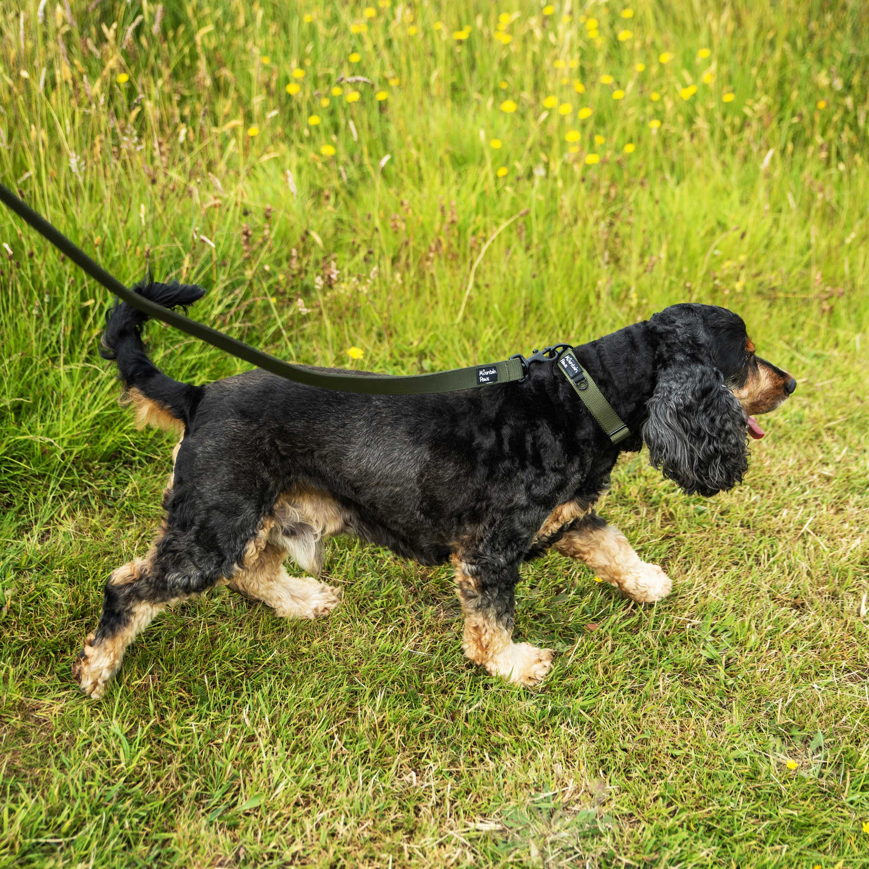 Extra Tough Dog Lead - variant[Olive]
