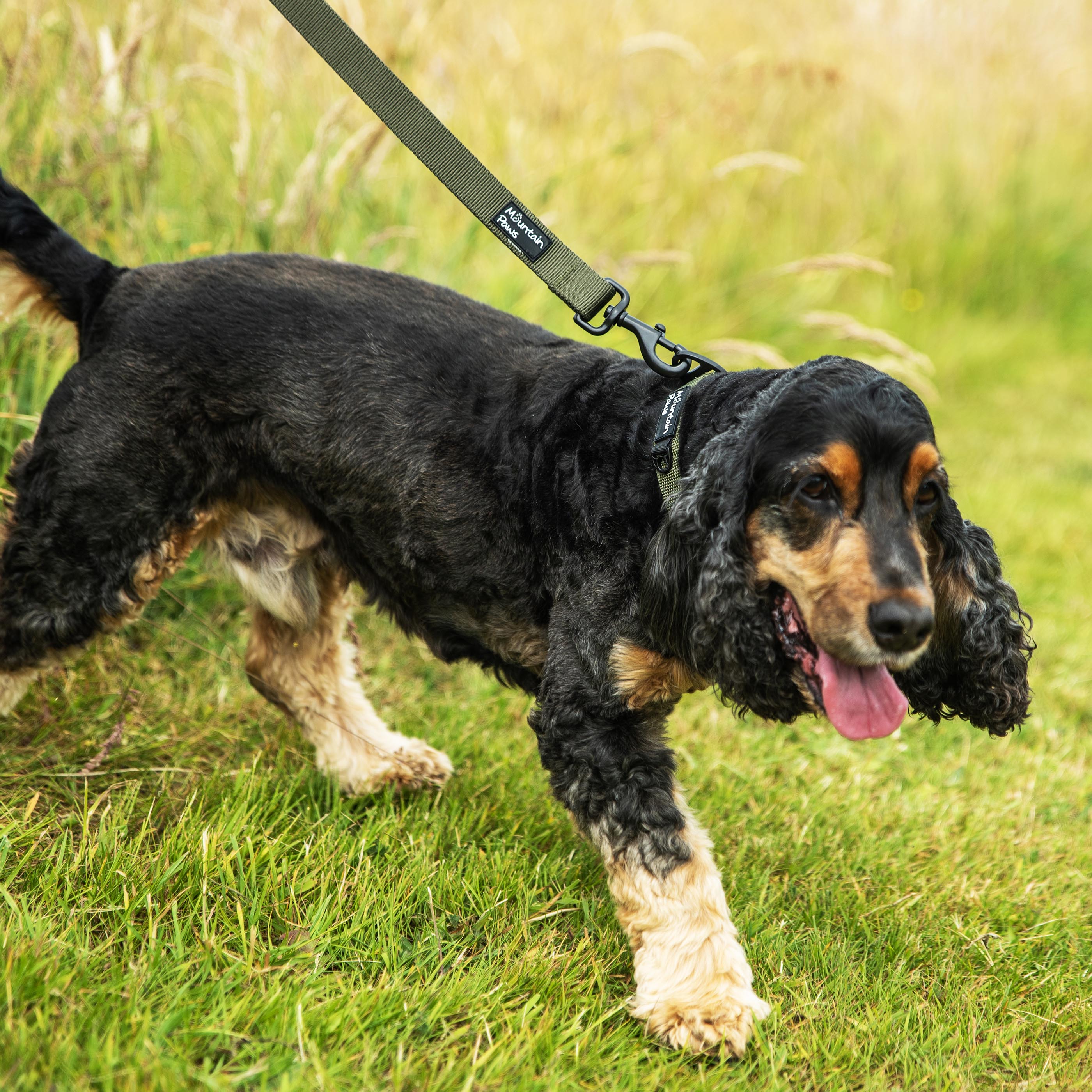 Extra Tough Dog Lead