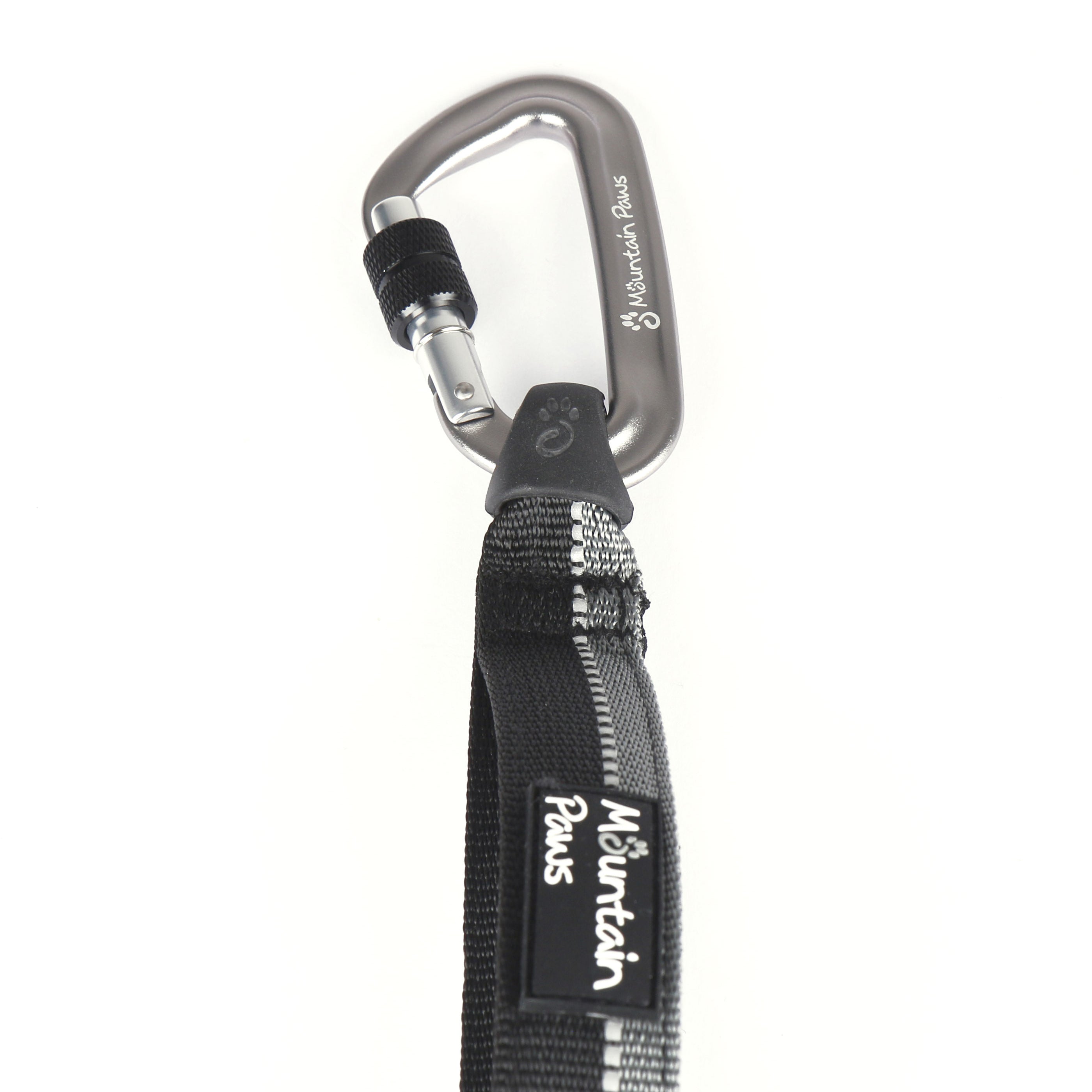 Shock Absorber Dog Lead