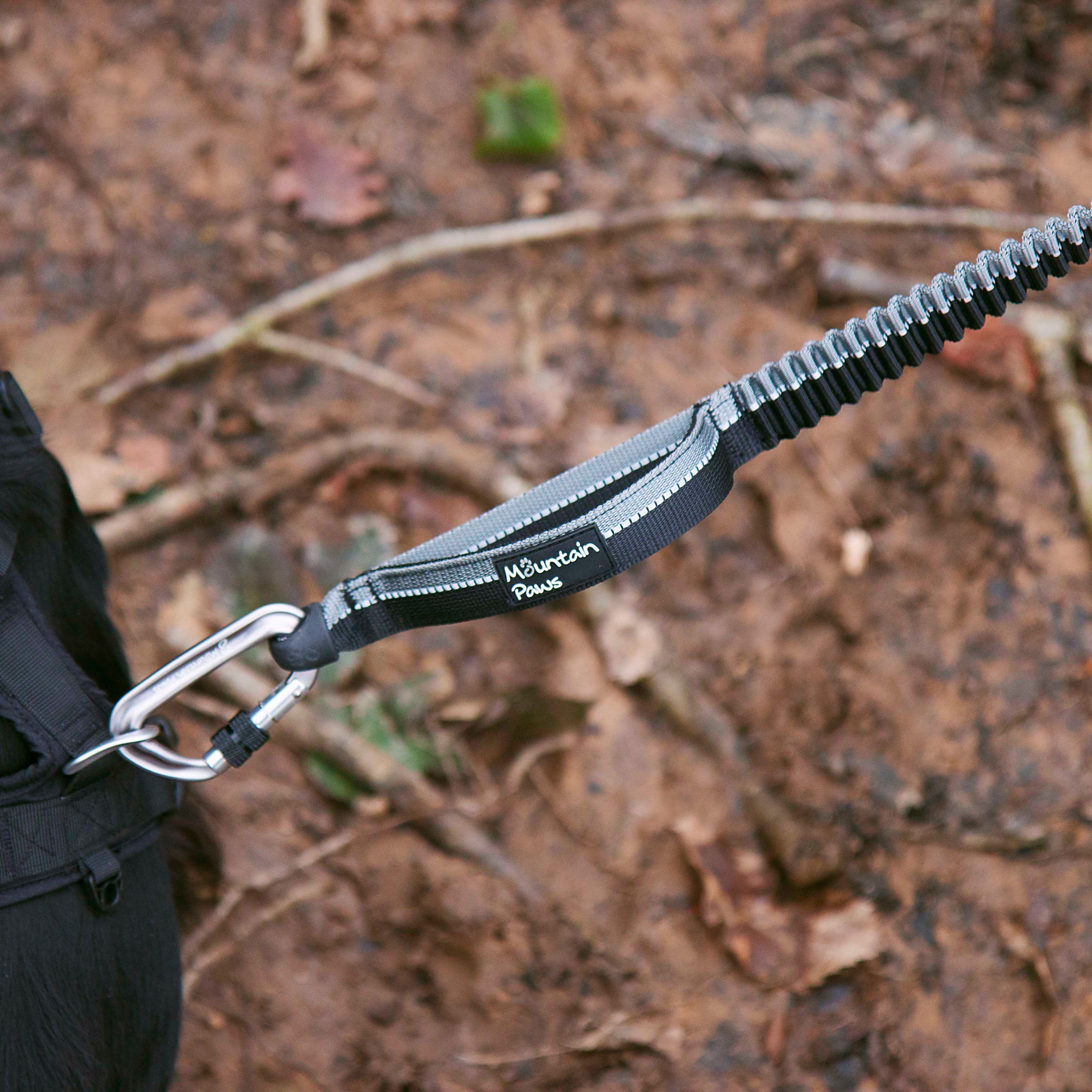 Shock Absorber Dog Lead