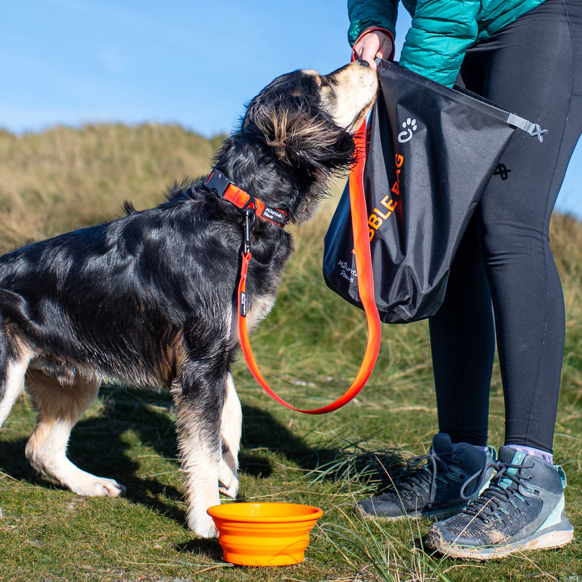 Waterproof Dog Lead - variant[Orange]