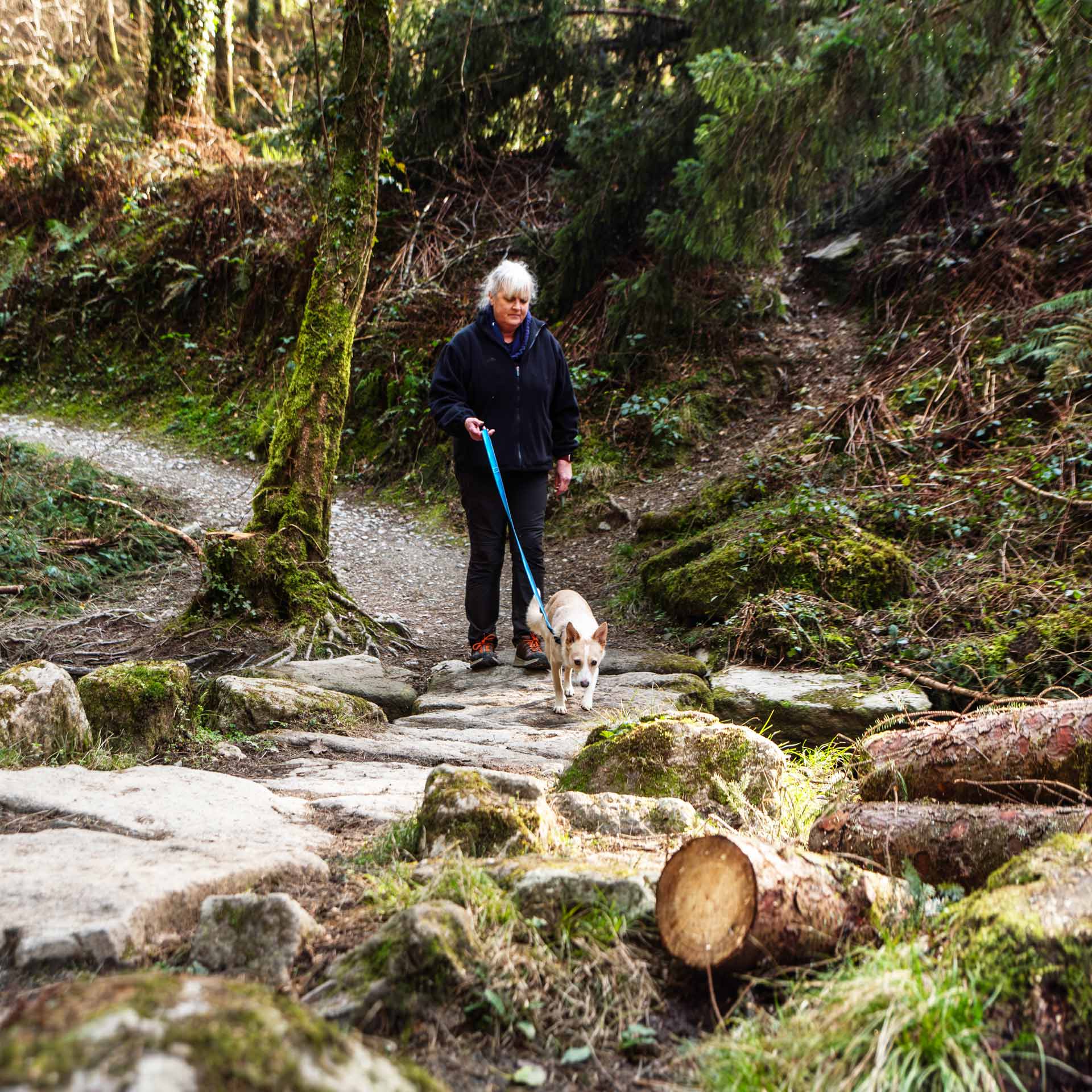 Waterproof Dog Lead - variant[Blue]