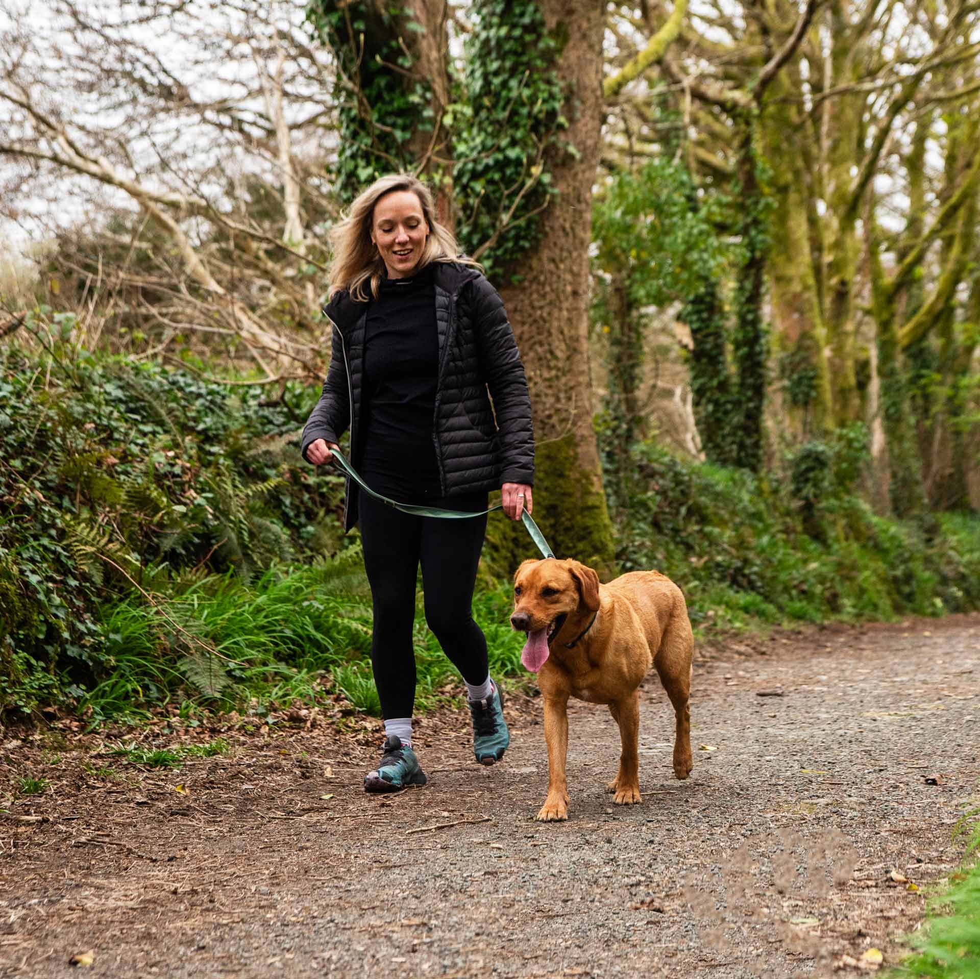 Waterproof Dog Lead - variant[Green]