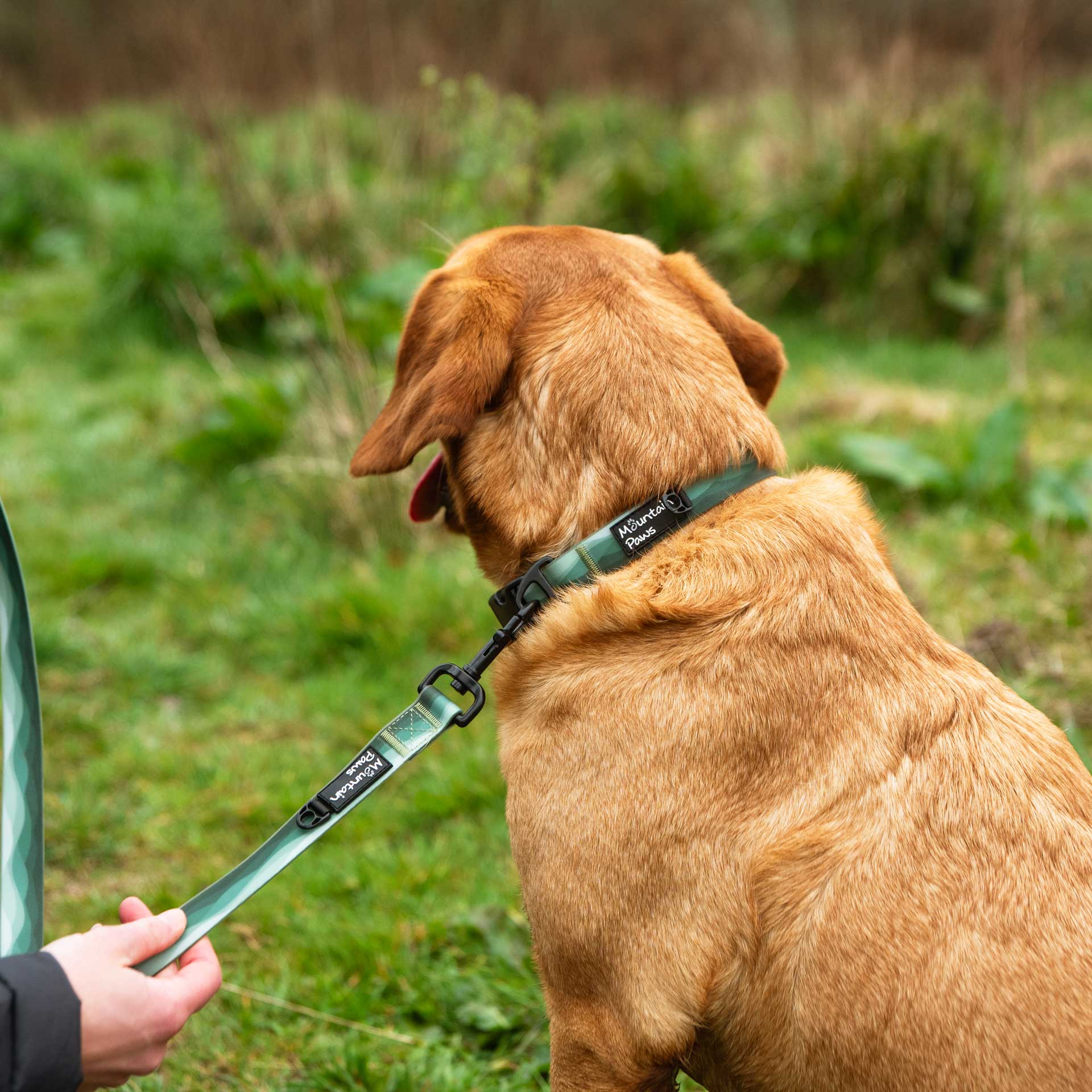 Waterproof Dog Lead - variant[Green]