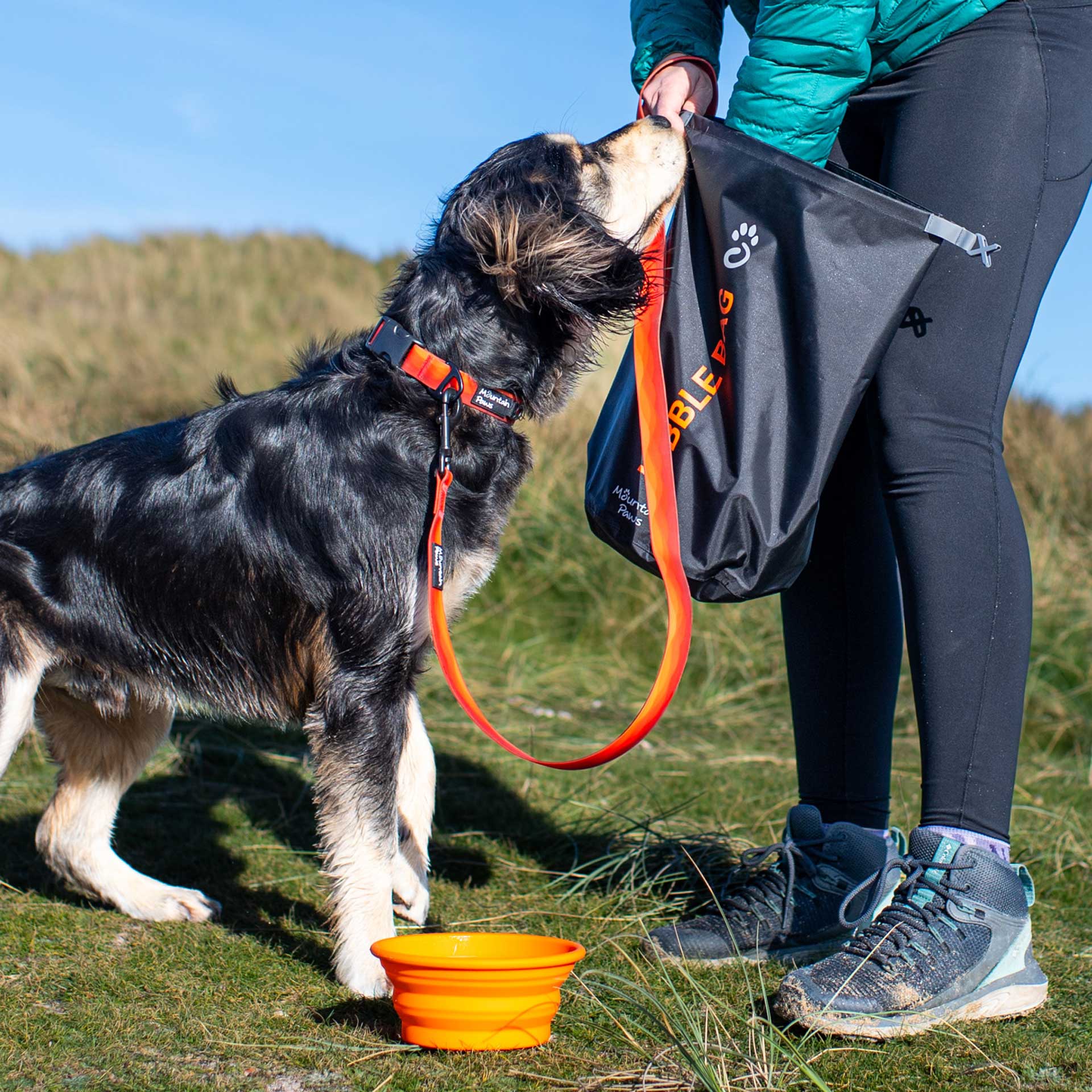 Waterproof Dog Collar - variant[Orange]