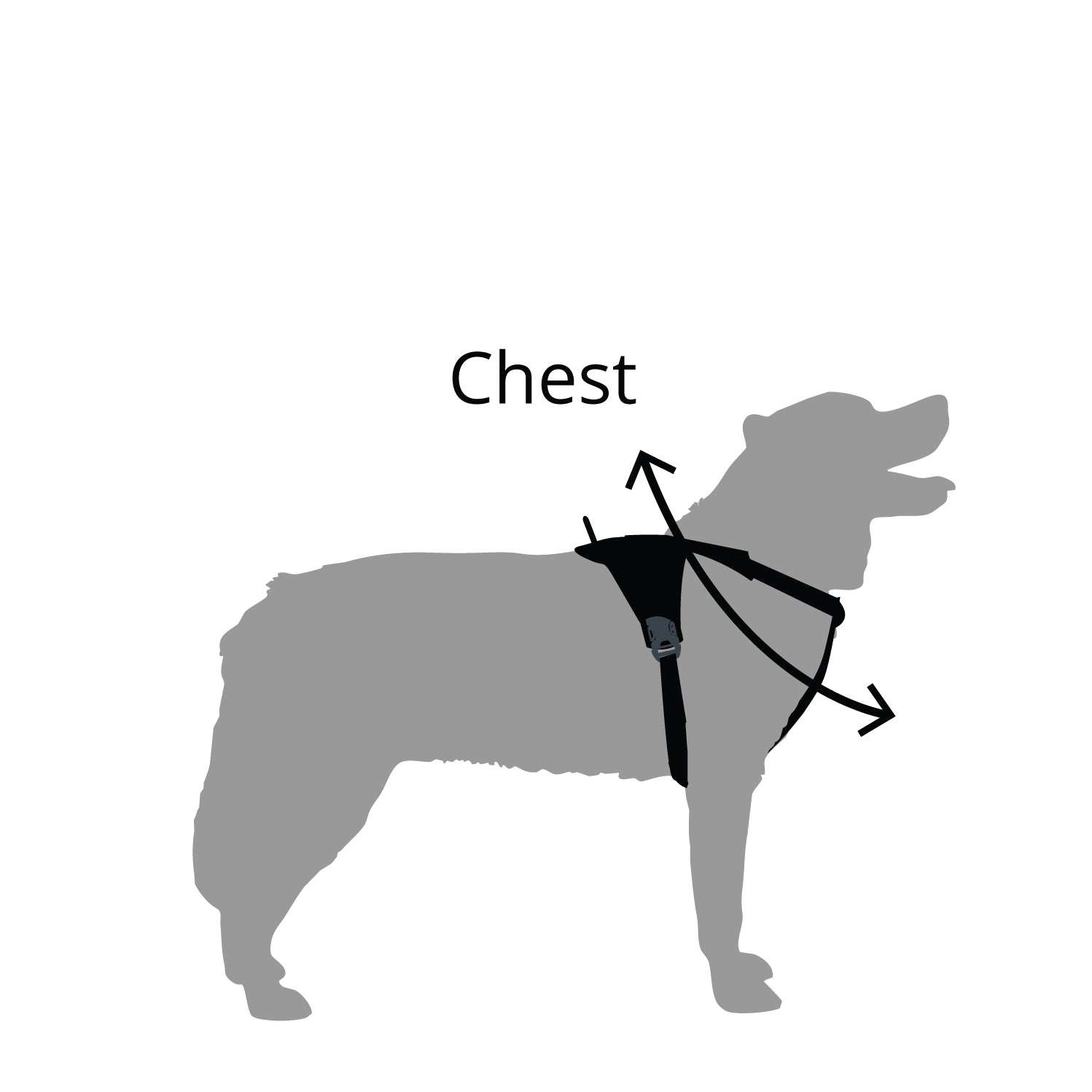 Dog Harness Sizes