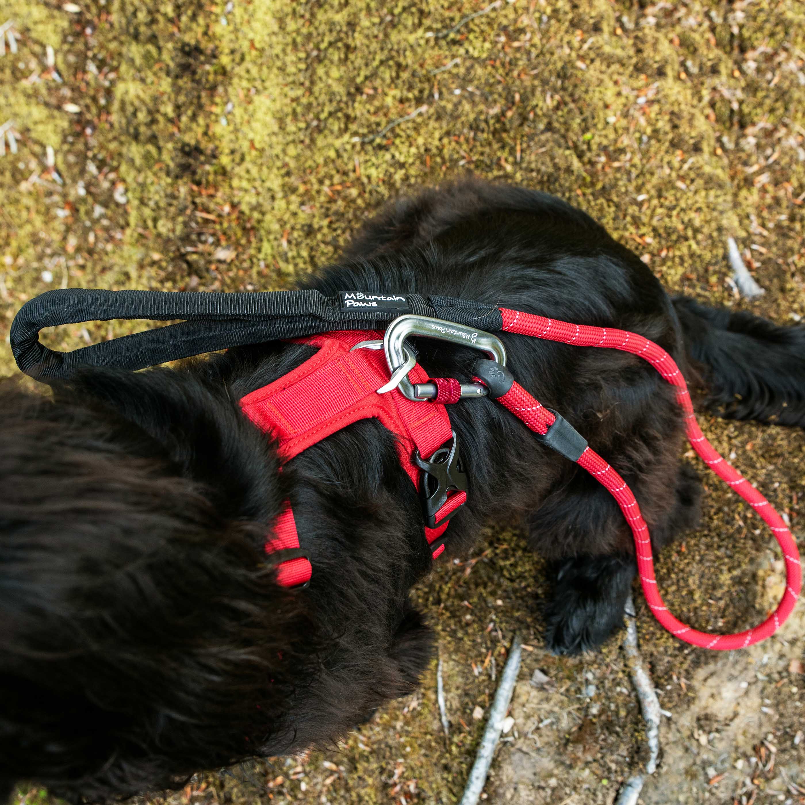 Rope Dog Lead - variant[Red]