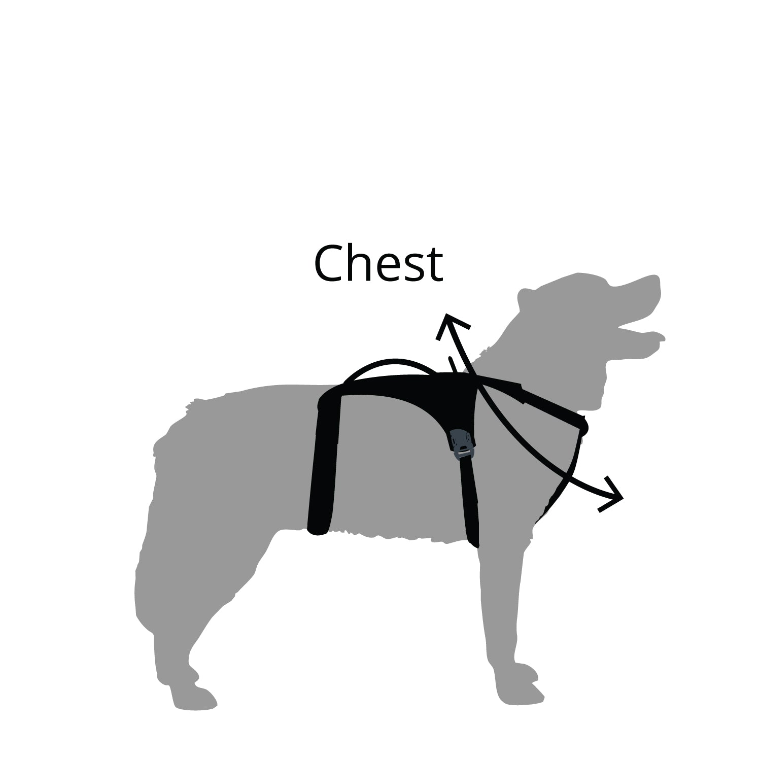 3 Strap Dog Harness Sizes