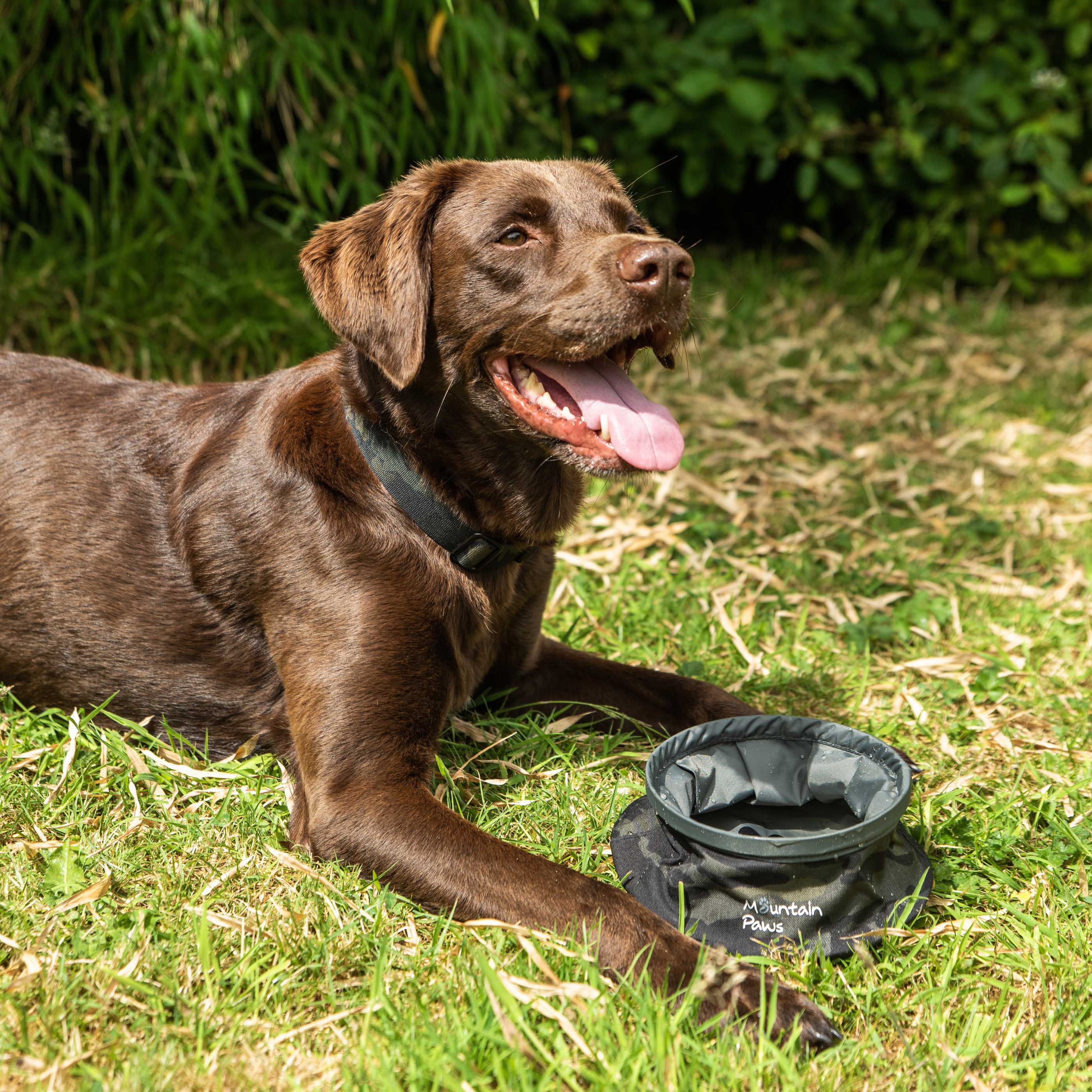 Collapsible Dog Water Bowl - variant[Camo]