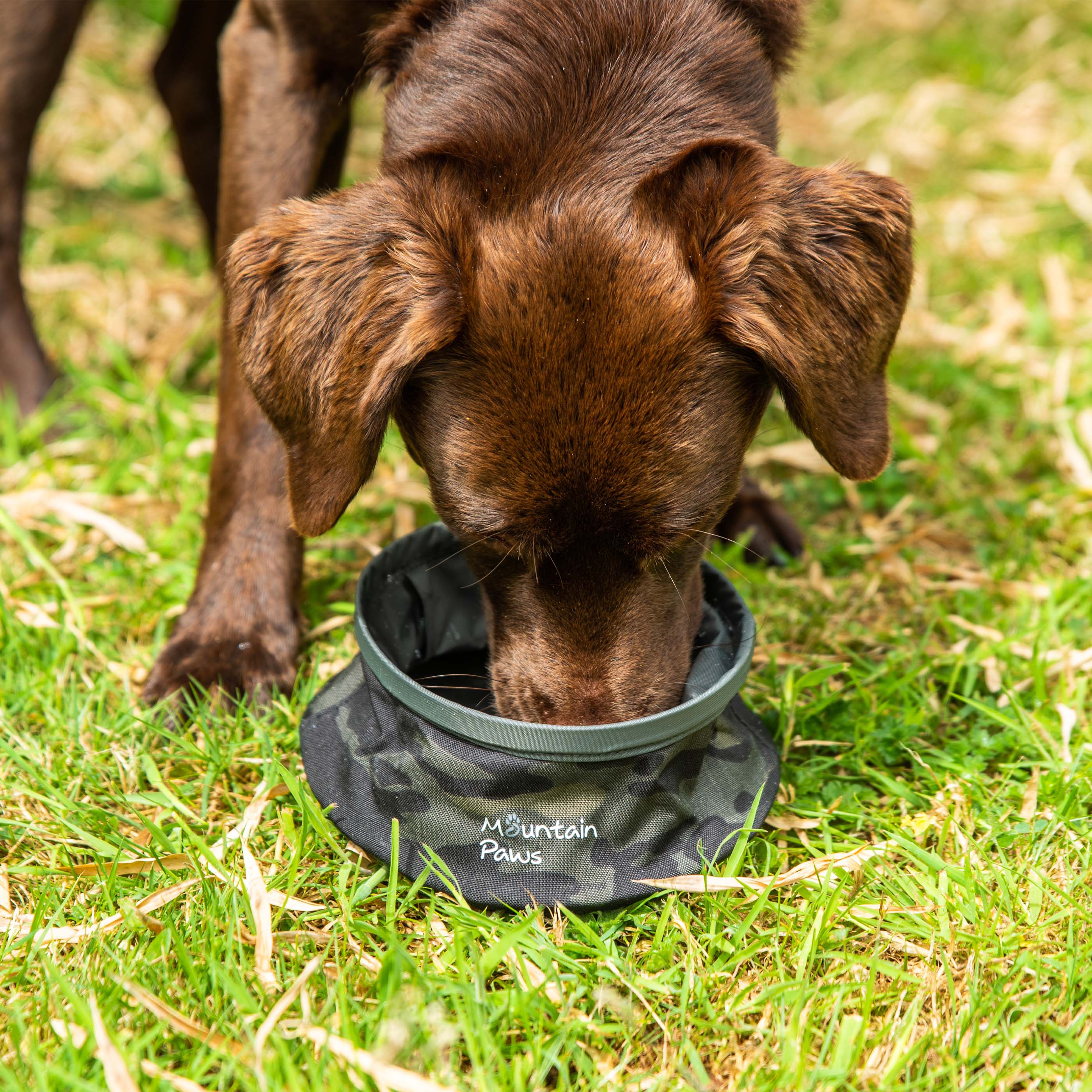 Collapsible Dog Water Bowl - variant[Camo]
