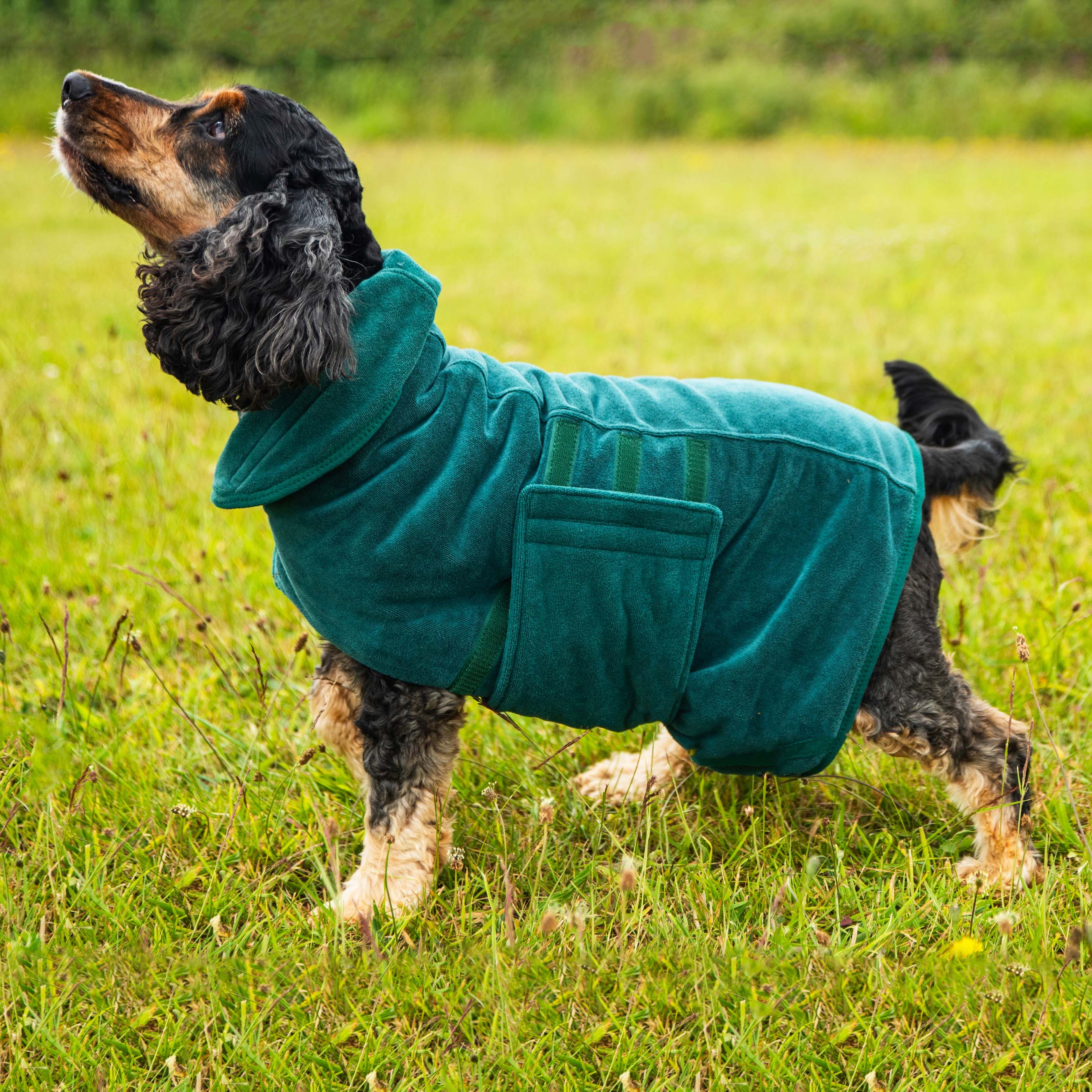 Dog Robe - variant[Green]