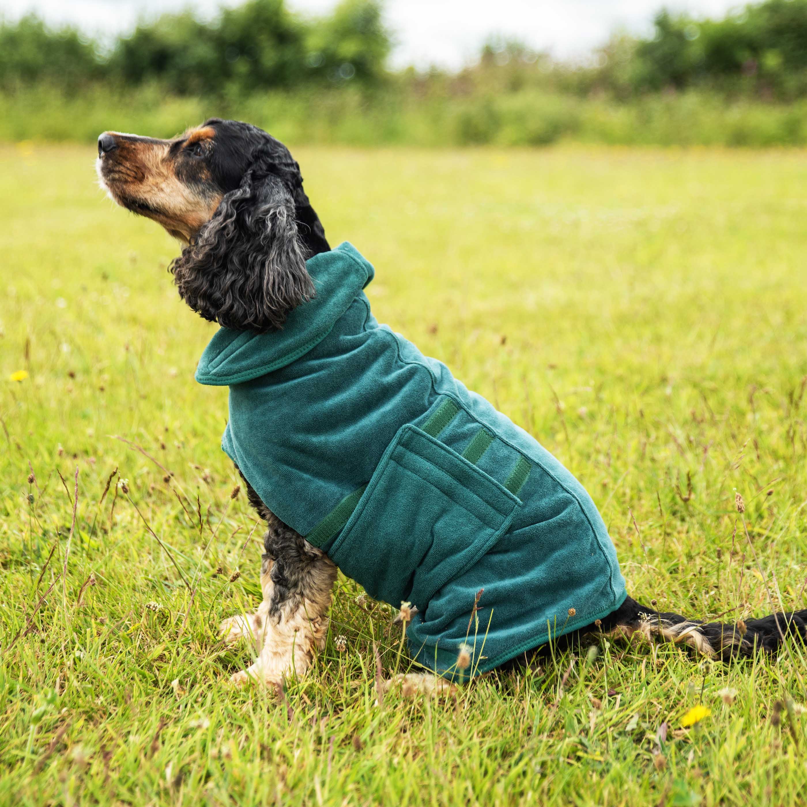Dog Robe - variant[Green]