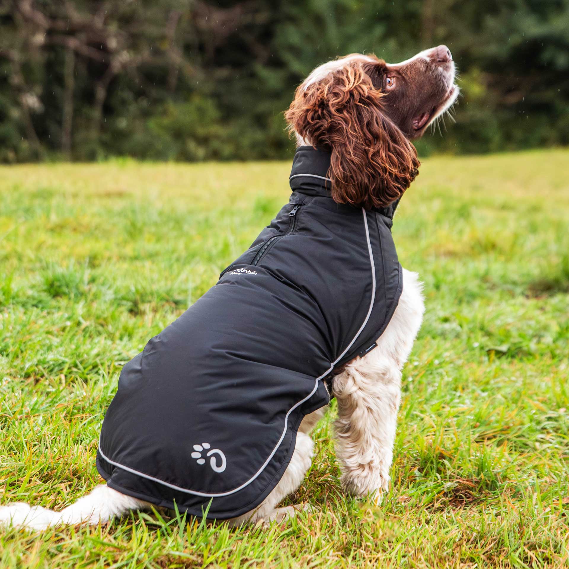 Fleece Lined Dog Coat - variant[Black]