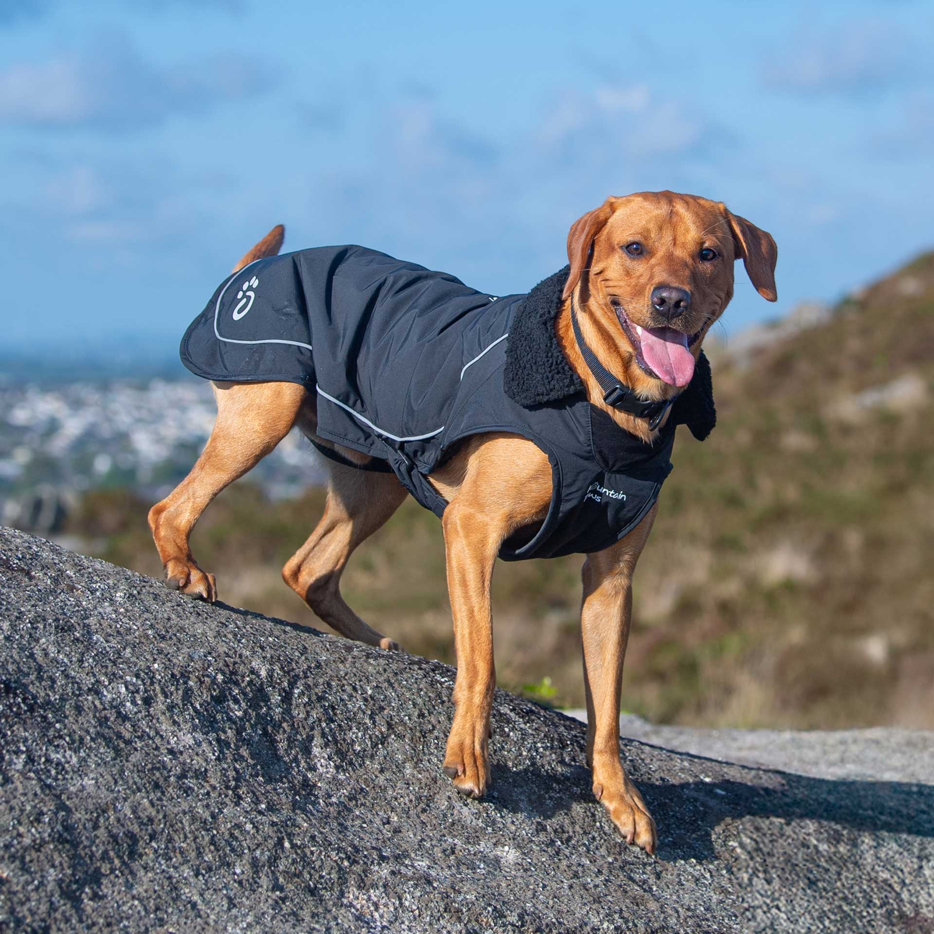 Fleece Lined Dog Coat