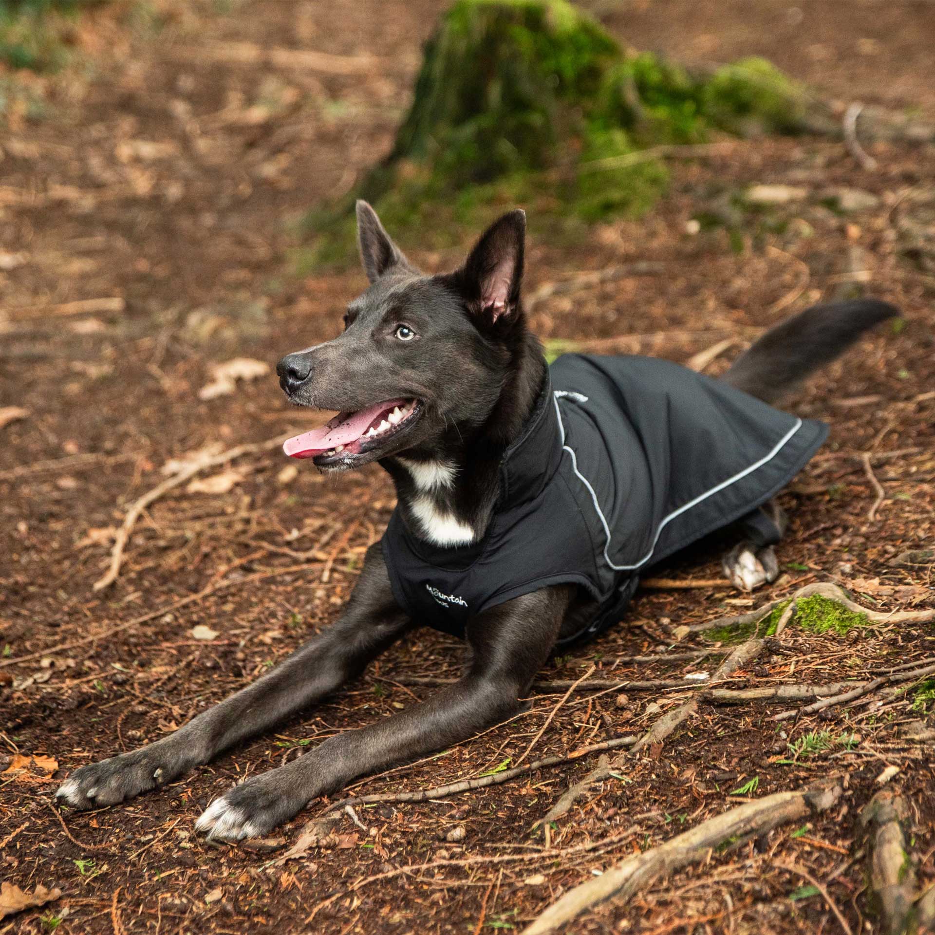 Fleece Lined Dog Coat - variant[Black]