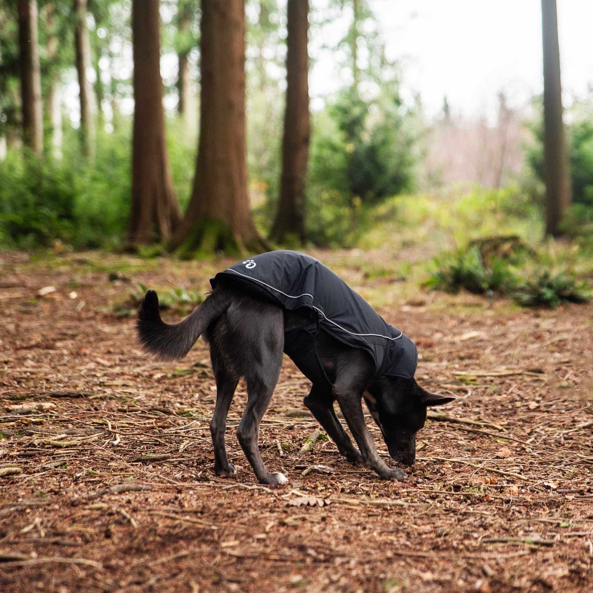 Fleece Lined Dog Coat - variant[Black]