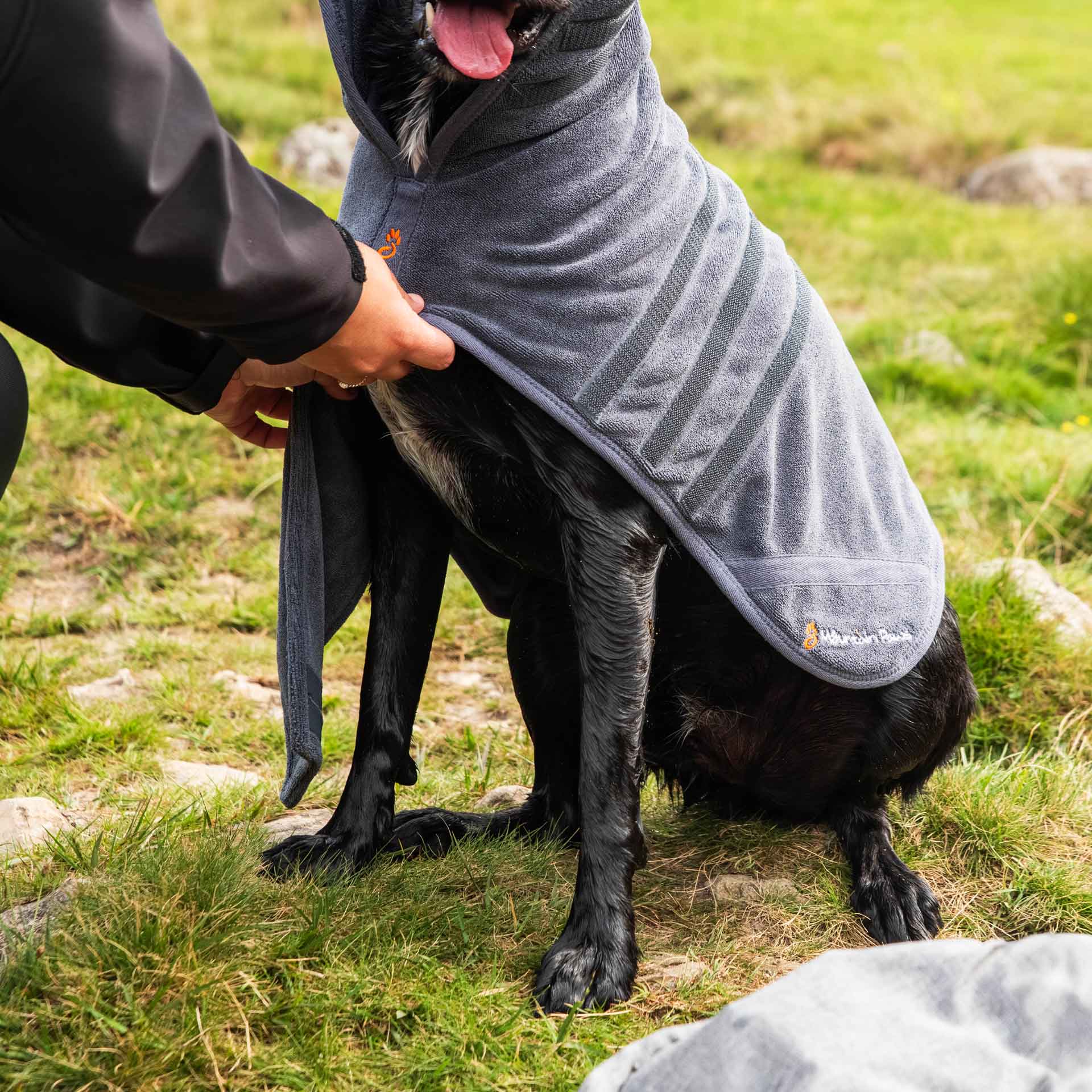 Dog Robe