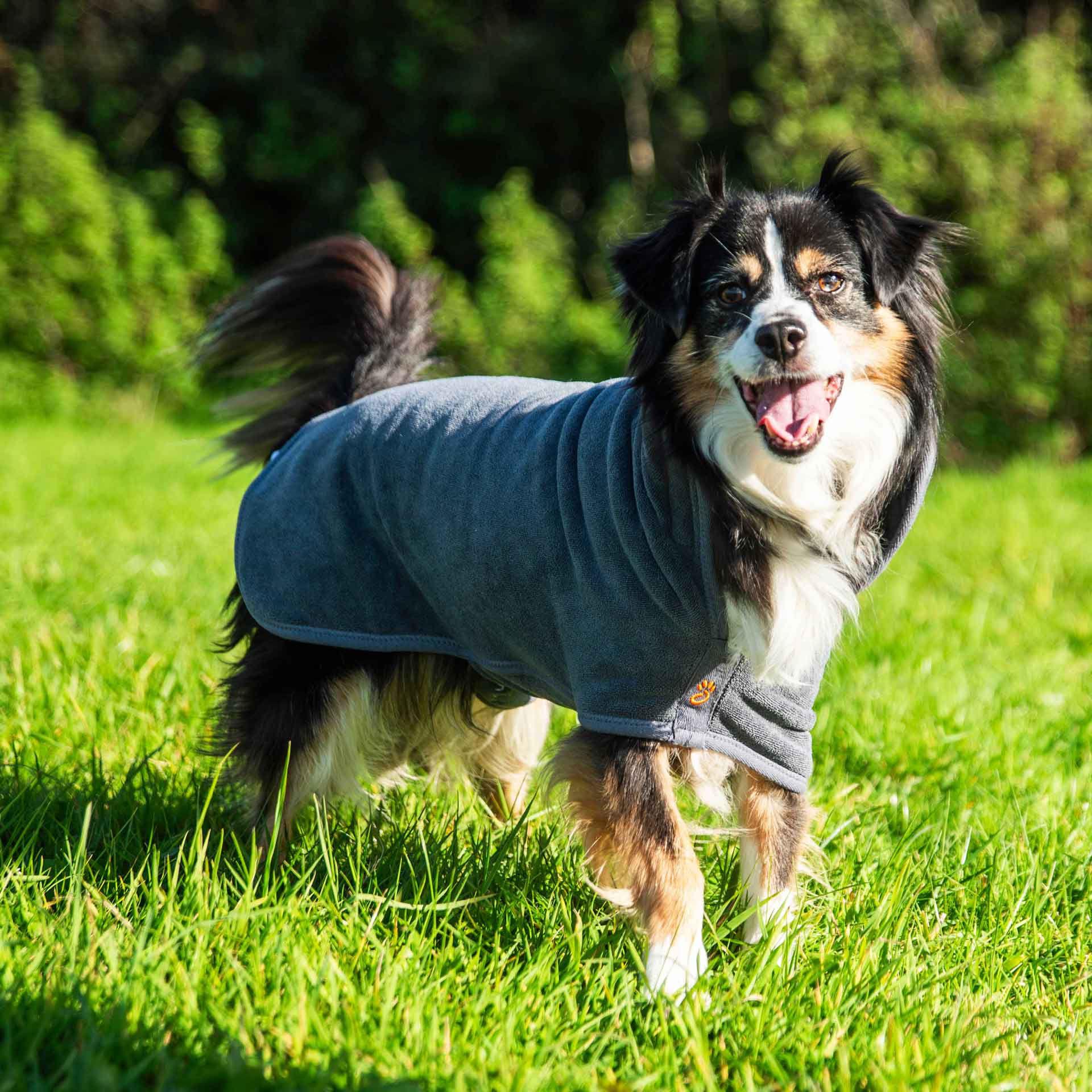 Dog Robe