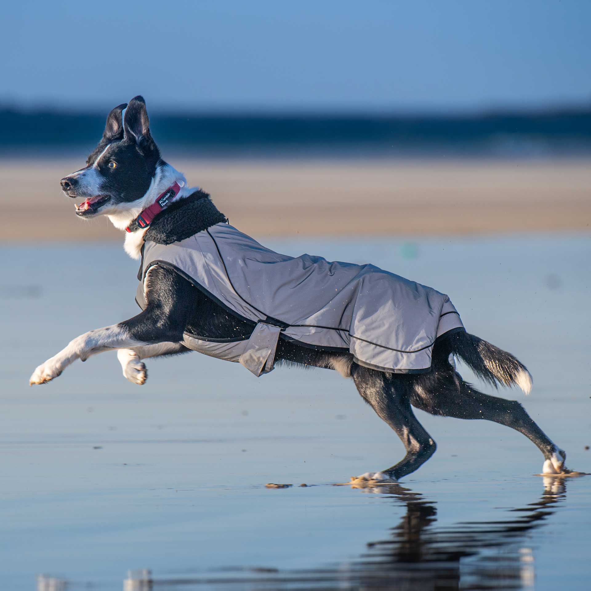 Fleece Lined Dog Coat - variant[Reflective]