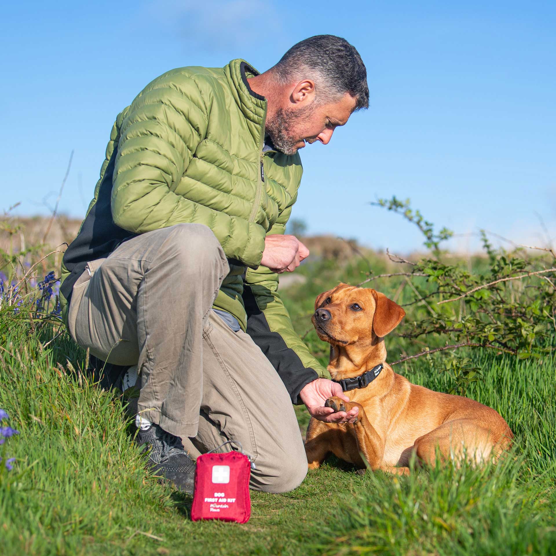 Dog First Aid Kit