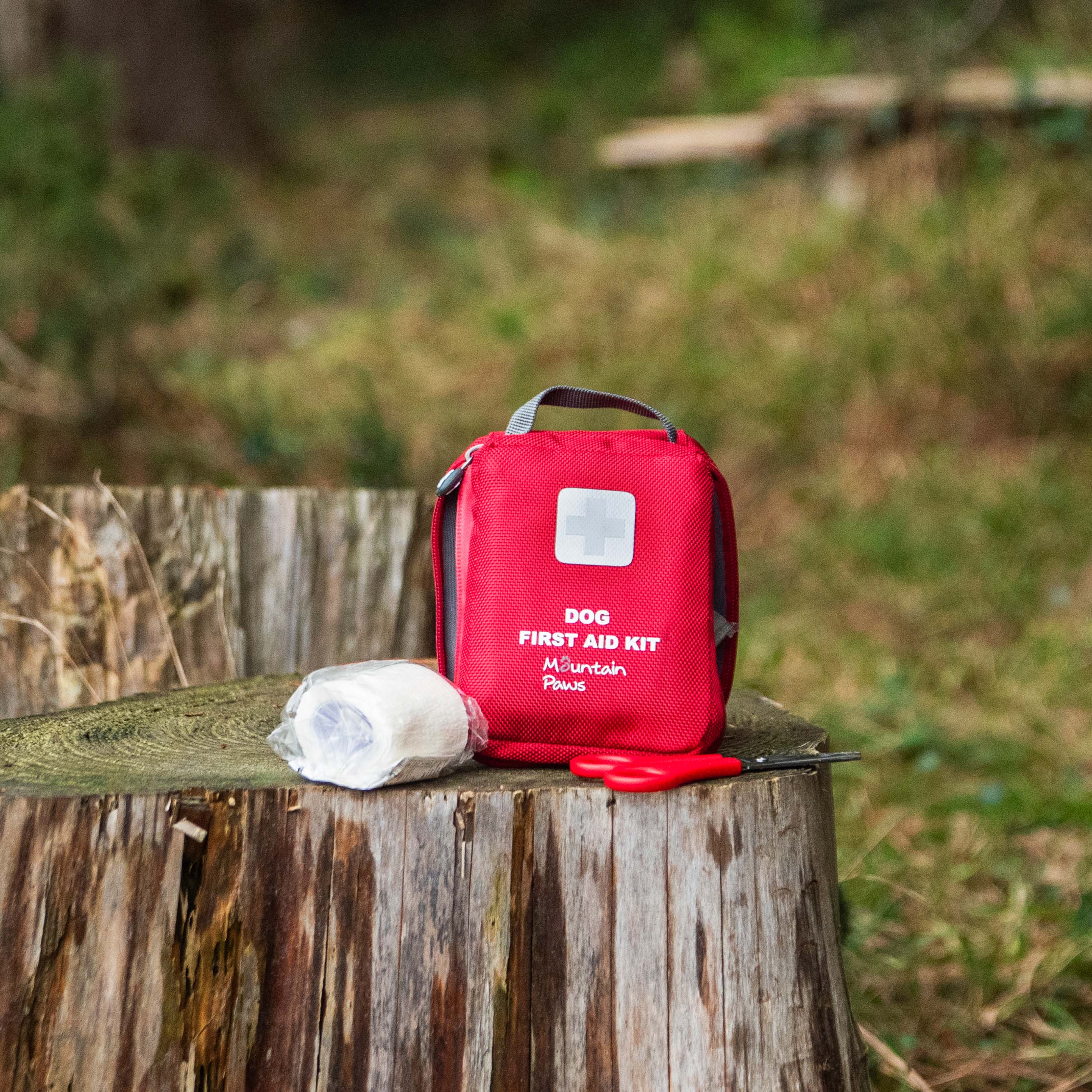 Dog First Aid Kit