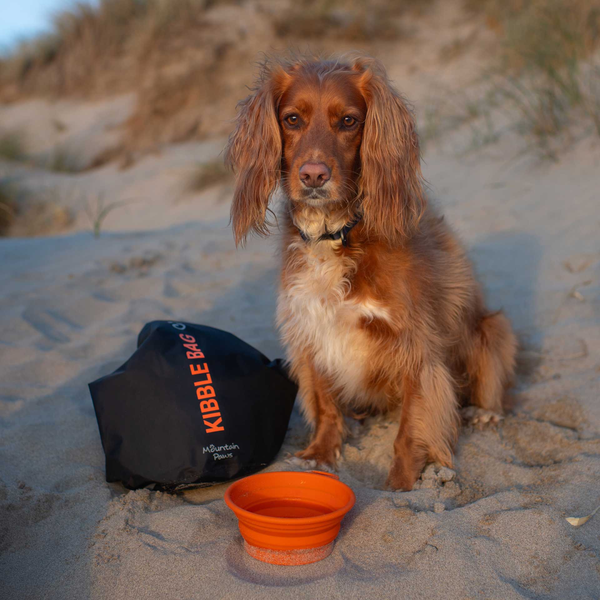 Kibble Bag