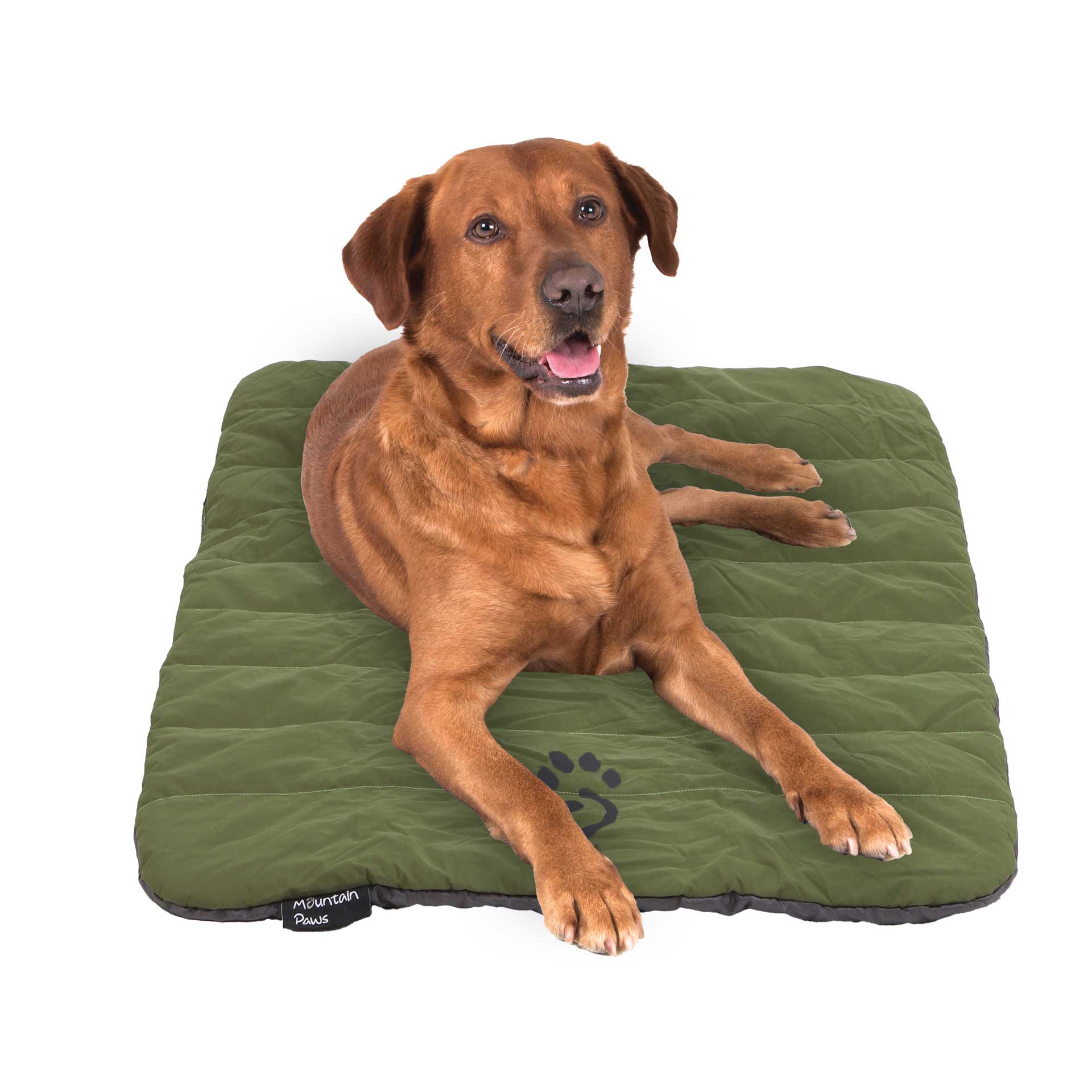 Travel Dog Bed