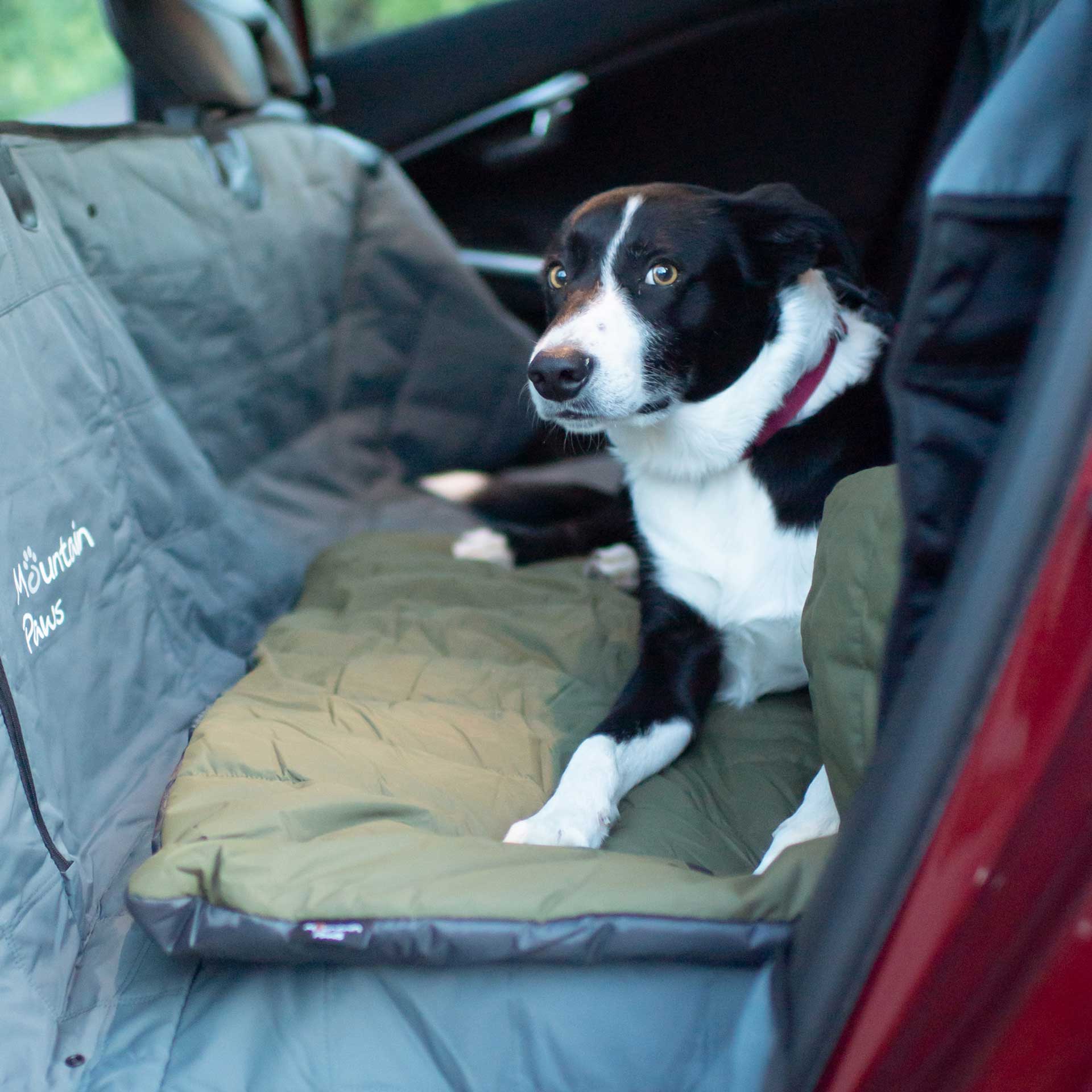 Travel Dog Bed