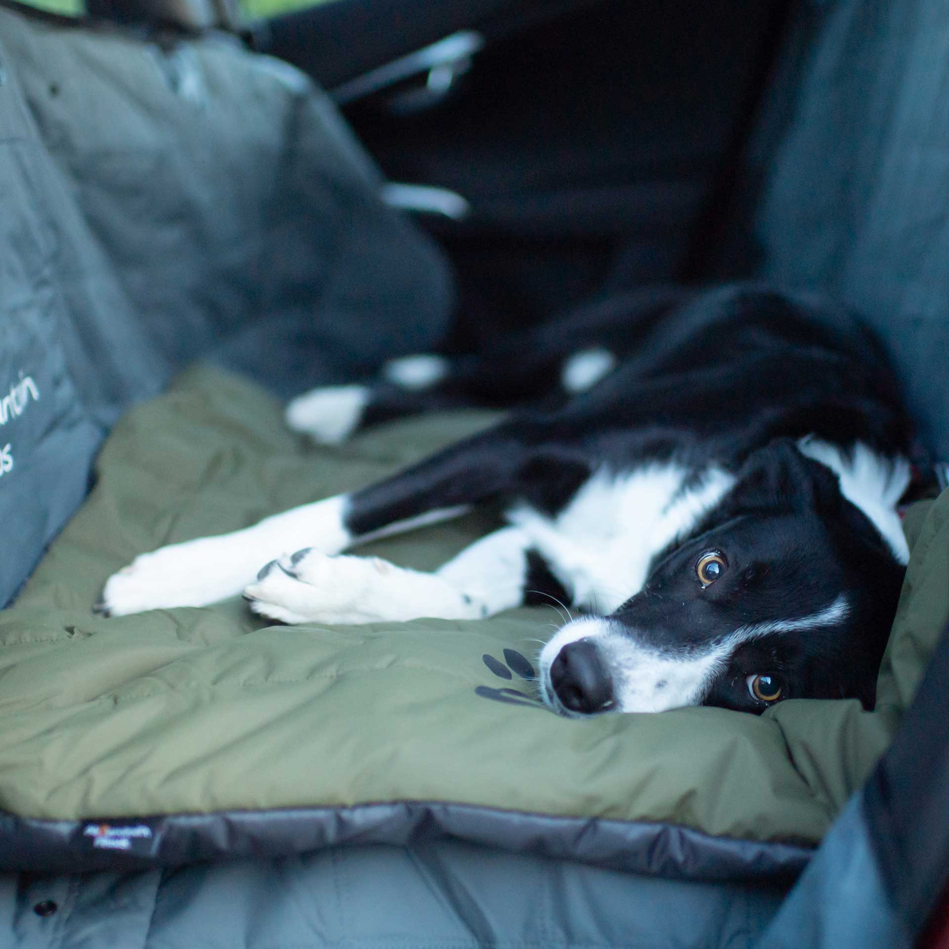 Travel Dog Bed